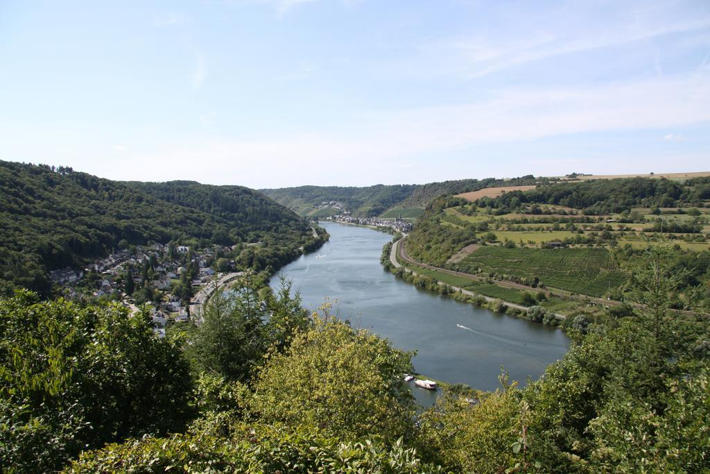 Ferienwohnungen Im Moseltal Лёф Экстерьер фото