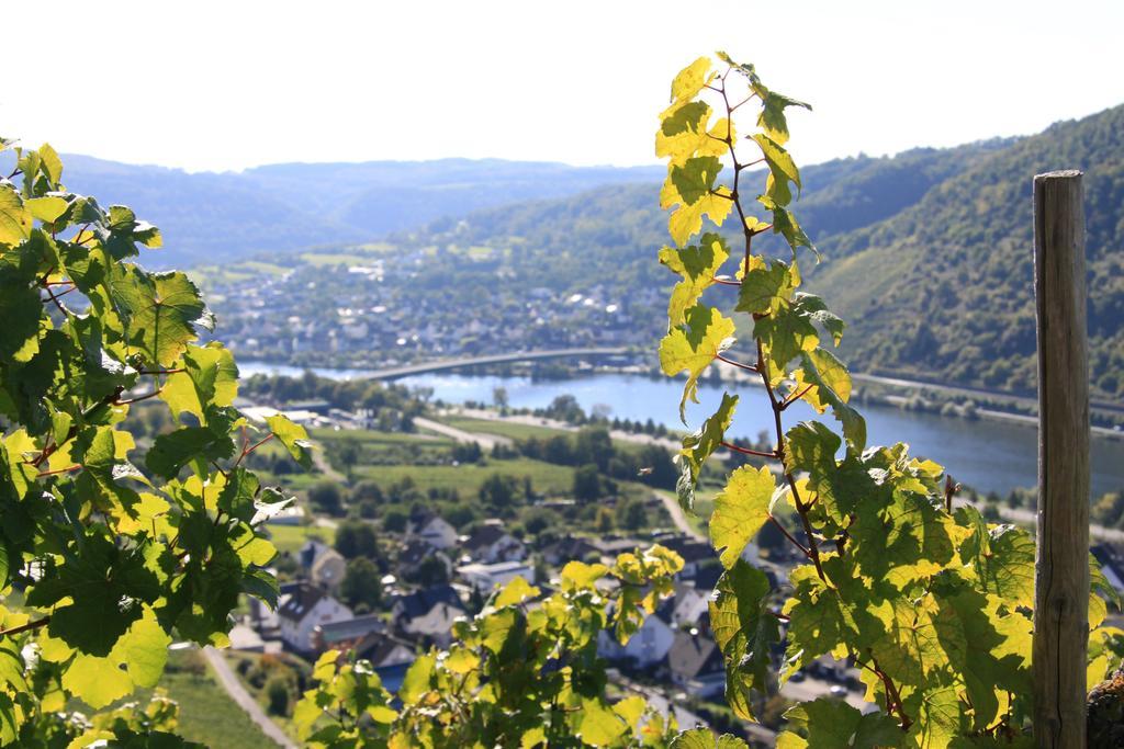 Ferienwohnungen Im Moseltal Лёф Экстерьер фото